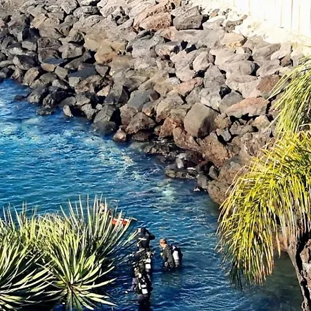 Harbour View דירה פוארטו דל כרמן